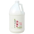 thumbnail image 1 of ColorLast Shampoo 128 fl oz, 1 of 3