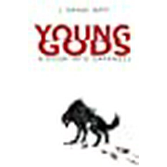 Young Gods: Young Gods: A Door into Darkness (Paperback)