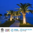 thumbnail image 5 of LEONLITE 8 Pack Low Voltage LED Landscape Spotlight, 2700K/3000K/4000K Selectable, IP65 Aluminum, Outdoor Directional Uplight for Tree, Yard, 5 of 7