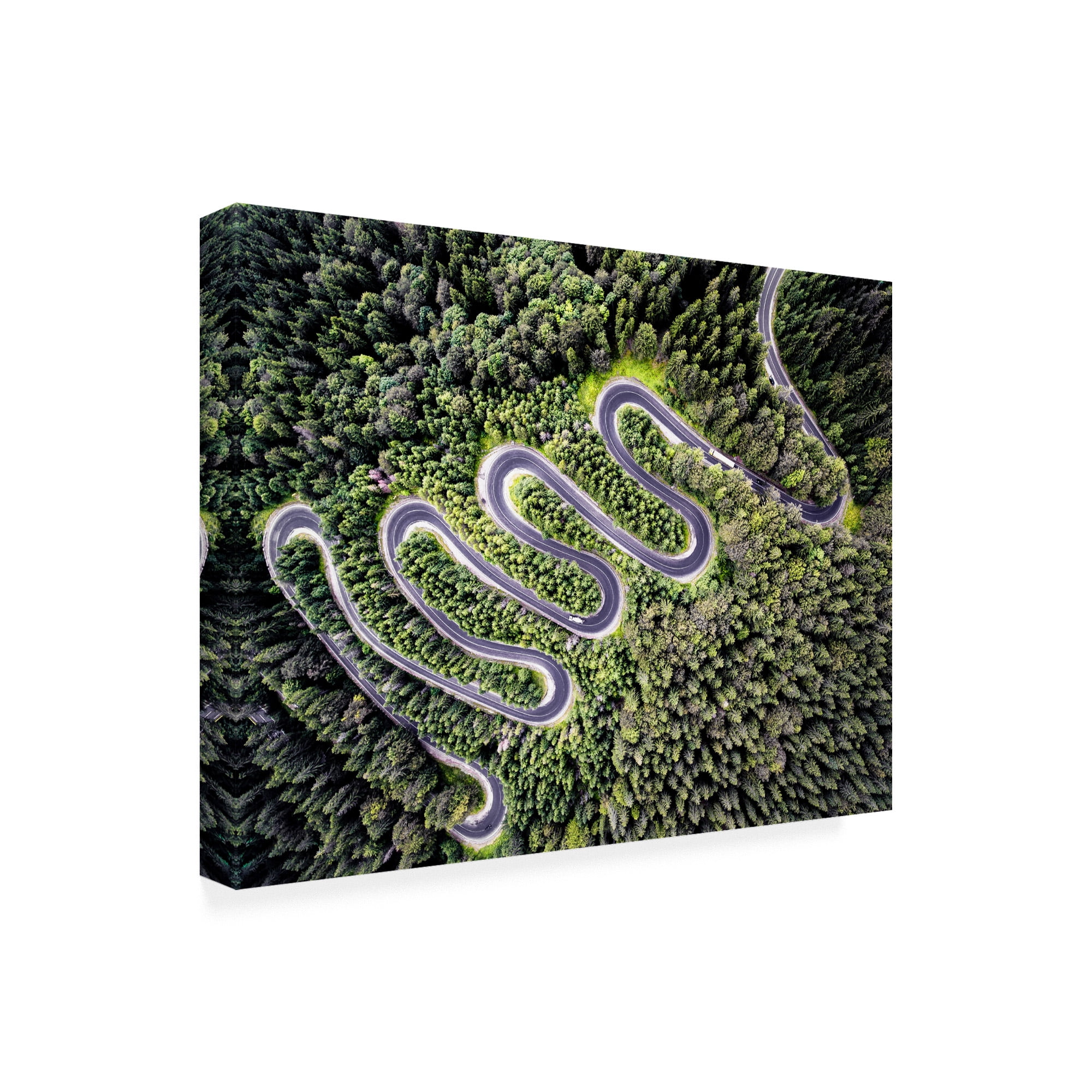 Trademark Fine Art 'Road Winding' Canvas Art by PhotoINC Studio