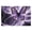 300, variant on Puzzles for Adults 500 Pieces - Purple Butterfly Puzzles for Family Games, Puzzle for Gifts, Funny Puzzle for Education