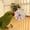 D, variant on Bird Spinning Wheel toy,Budgie toys,interactive Bird Educational toys for Small Birds, Cockatiel toys,Hanging Roller Parakeet Cage Accessories for Chewing Exercise,Bird toys for Parakeets