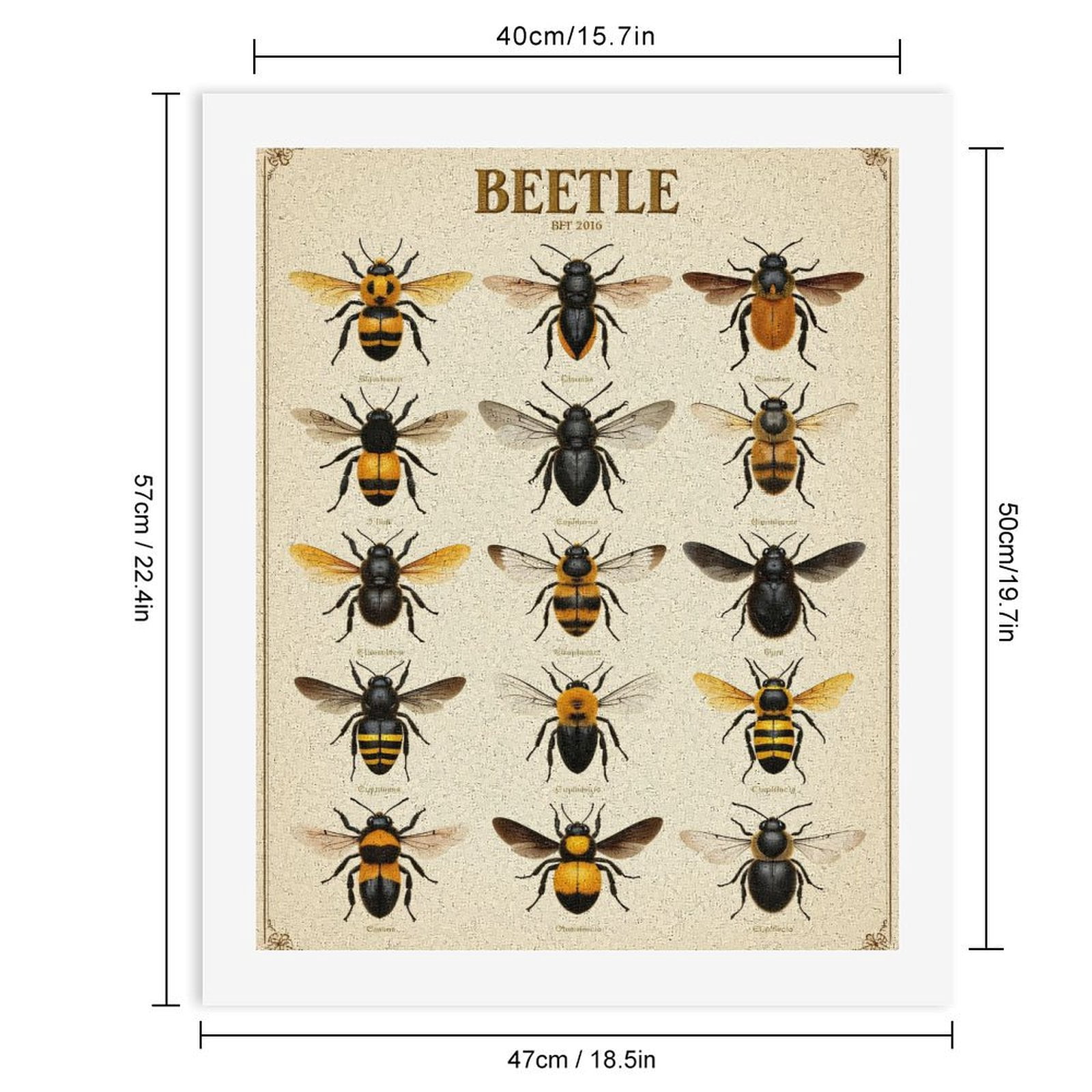 Paint By Numbers Kit for Adults Beginner - DIY Bumblebee Variety Illustration Chart Canvas Painting Kits for Adults, Frameless Paint By Number for Adults for Home Wall Decor 16x20 Inch