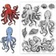 thumbnail image 1 of Sellos de silicona con forma de pulpo, 10,9 x 16 cm, negros, 1 of 9