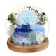 thumbnail image 5 of Regalos para el Día de la Madre Regalo de Flores Preservadas Regalo de Clavel Regalo para Mujeres Clavel Iluminado azul, 5 of 9