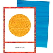 World of Eric Carle(tm) Shapes Learning Cards (Other)