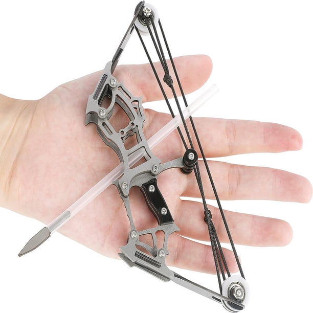 Kit Mini Arc Composé + Flèches 12 Lbs - Tir à La Cible, 8 Flèches, Idéal Débutant/jeux