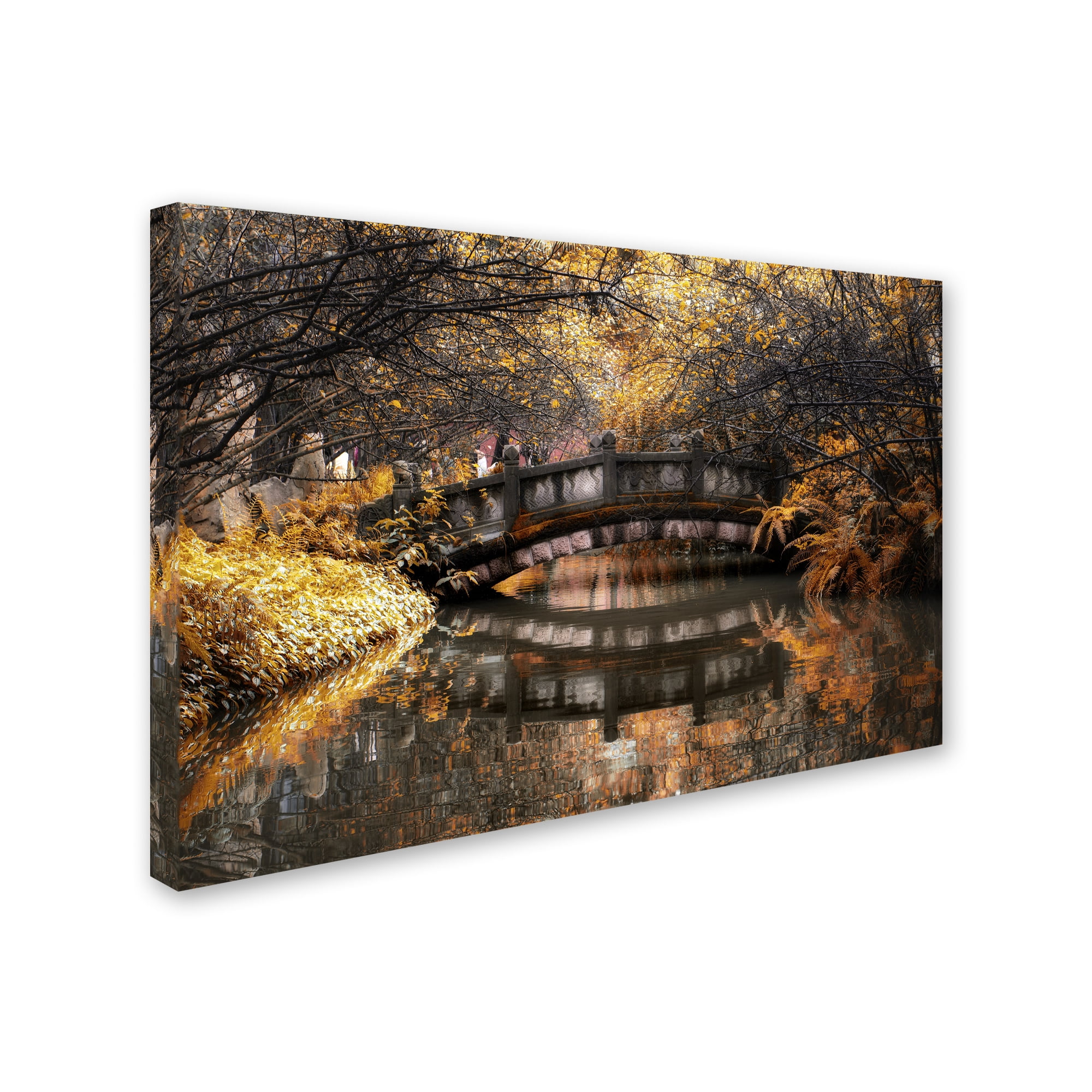 Trademark Fine Art "Dream Fall" Canvas Art by Philippe Hugonnard