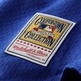 thumbnail image 7 of Men's Mitchell & Ness Ryne Sandberg Royal Chicago Cubs Cooperstown Collection 1997 Mesh Batting Practice Button-Up, 7 of 7