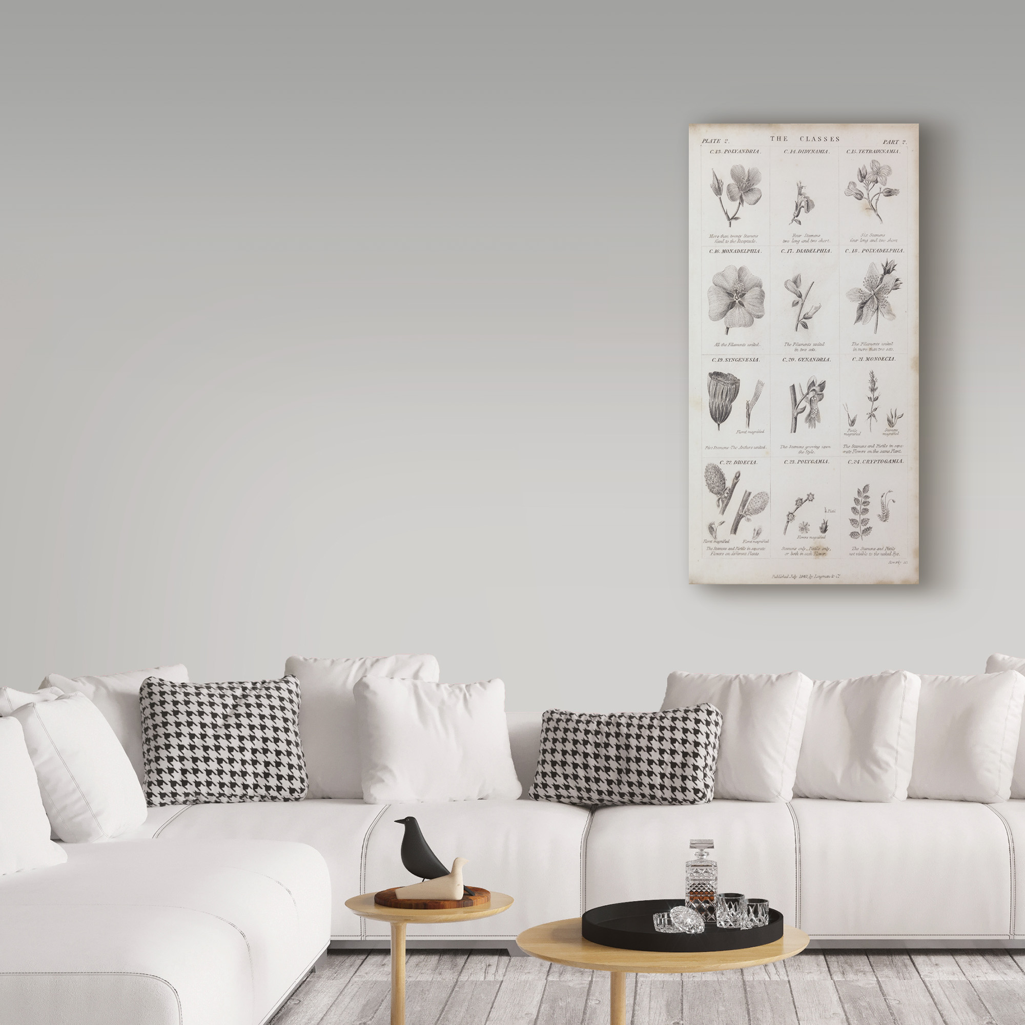 Trademark Fine Art 'Conversations on Botany X' Canvas Art by Wild Apple Portfolio