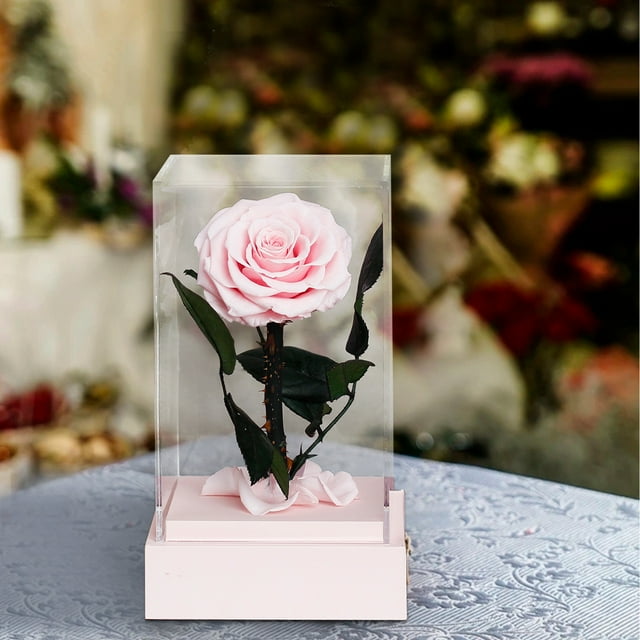 Rosa real preservada en caja de acrílico | Regalo de flor eterna para San Valentín | Recuerdo duradero para mujer, novia, esposa o mamá