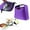 Purple 2PCS, variant on 2PCS Insulated Thermal Food Reusable Hot Cold Temperature Retention Container for Picnic Lunch Outdoor Travel Home Decor