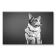 thumbnail image 1 of Cuadro Canva Pixtreats listo para Colgar tipo galería Corgi Blanco y Negro 40X60 cm, 1 of 4