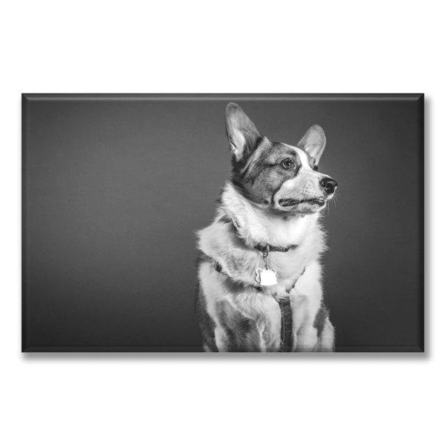 Cuadro Canva Listo Para Colgar Tipo Galería Pixtreats Blanco Y Negro 60X90 cm