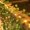 Creeper, variant on Jinswick 6.56FT 20 LED Outdoor Christmas Decoration Fairy Lights - Vine String Lights, Artificial Tree Branches - Willow Tree Lights for Patio Home Decoration, Wedding Party Christmas Decoration