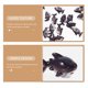 thumbnail image 3 of 20 piezas de animales marinos en miniatura para mesa, adorable figura de pulpo, tiburón, juguete de jardín de hadas, resina sintética para niños, 3 of 6