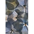 thumbnail image 2 of Lenka 23x32 Black Ornate Wood Framed with Double Matting Museum Art Print Titled - Botanical #26, 2 of 4