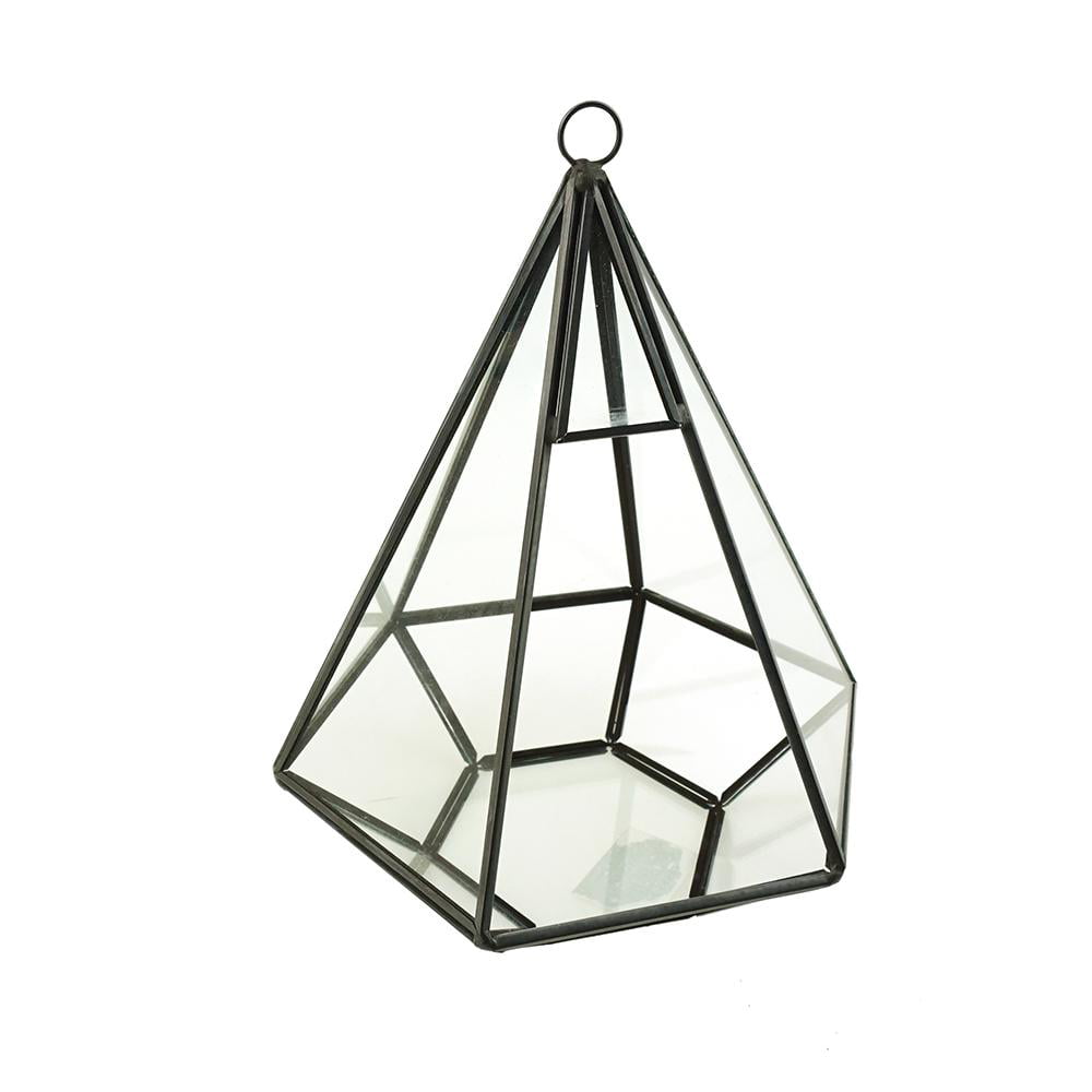 Tea Light Candle Holder by Home-X display hanger not included Tear Drop Shape Glass Prism Terrarium with Black Rim Air Plant Display Case 