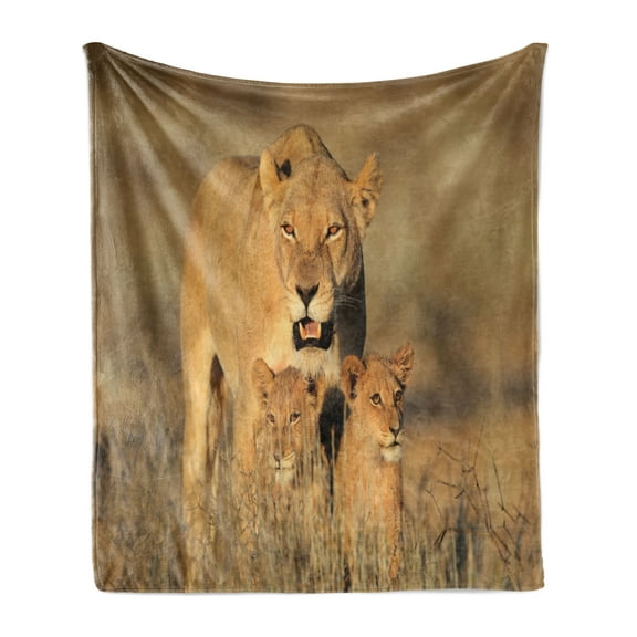 Safari Soft Flannel Fleece Throw Blanket, Mom Lioness and Young Lion Kings in South Nature Big Cats at Wilderness Safari, Cozy Plush for Indoor and Outdoor Use, 50" x 70", Cream, by Ambesonne