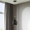 thumbnail image 3 of 49016-68 Livex Lighting Andes - 1 Light Mini Pendant In Urban Style-19.5 Inches Tall and 7.75 Inches Wide-Shiny Black/Polished Brass Finish, 3 of 12