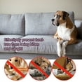 thumbnail image 3 of Inodorous Nontoxic Chewing Prevention Sprays Quick Acting Pet Training Aid for Indoor Outdoor Use, 3 of 11