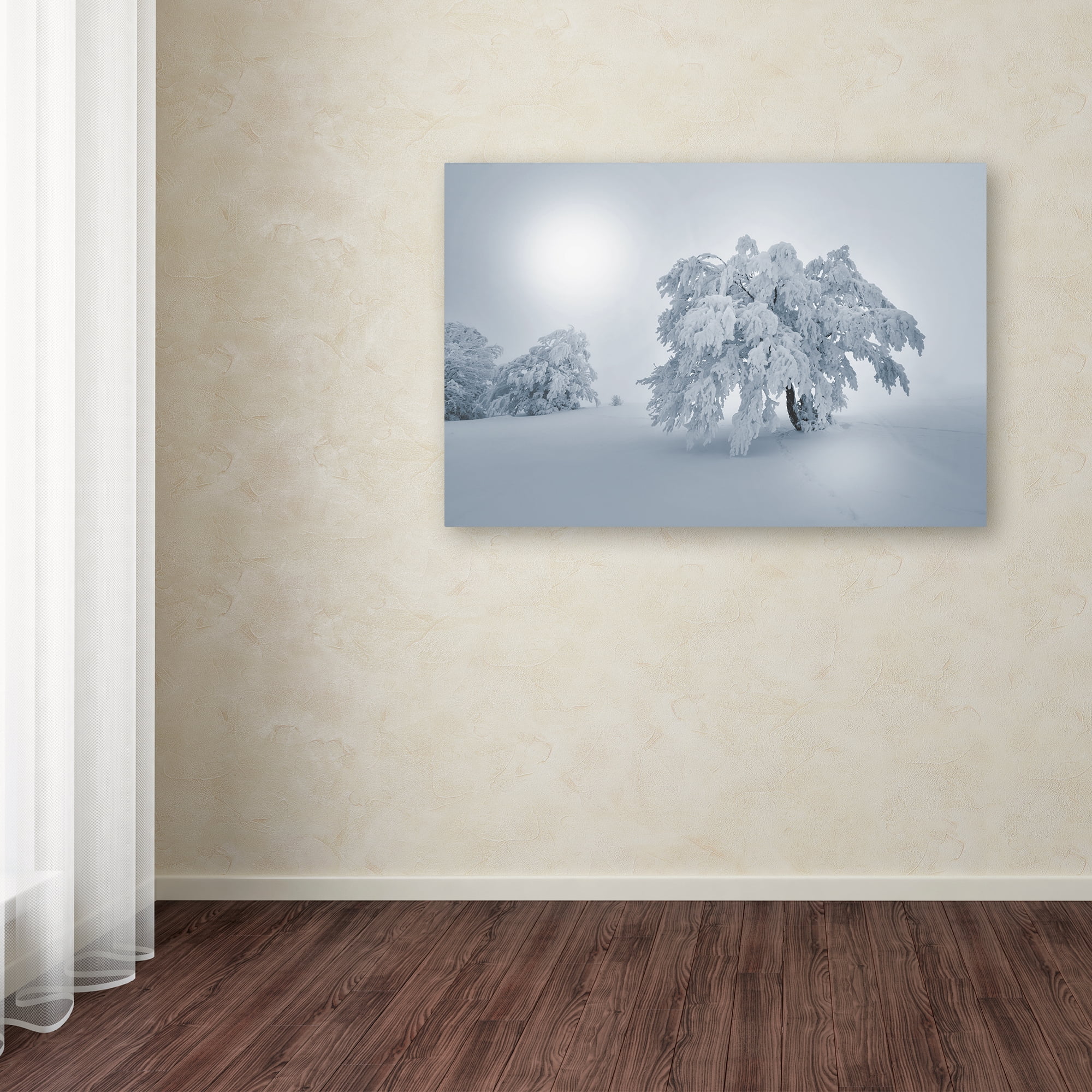 Trademark Fine Art 'A Cold Winter Morning' Canvas Art by Philippe Sainte-Laudy