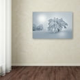thumbnail image 3 of Trademark Fine Art 'A Cold Winter Morning' Canvas Art by Philippe Sainte-Laudy, 3 of 3