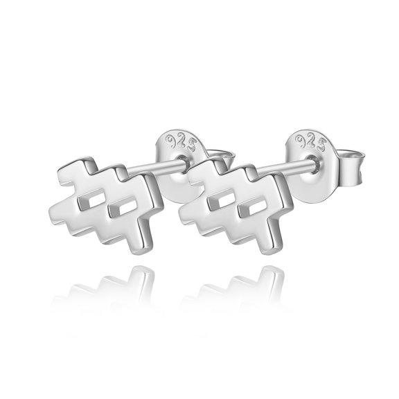 Lavishe Rhodium Plated 925 Sterling Silver Cubic Zirconia Horoscope Zodiac 12 Constellation Astrology Jewelry Aquarius Stud Earrings