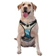 thumbnail image 1 of Kdxio Iceberg Bald Eagle Print No Pull Dog Harness Adjustable Reflective Oxford Easy Control Medium Large Dog Harness for Training and Everyday-Medium, 1 of 6