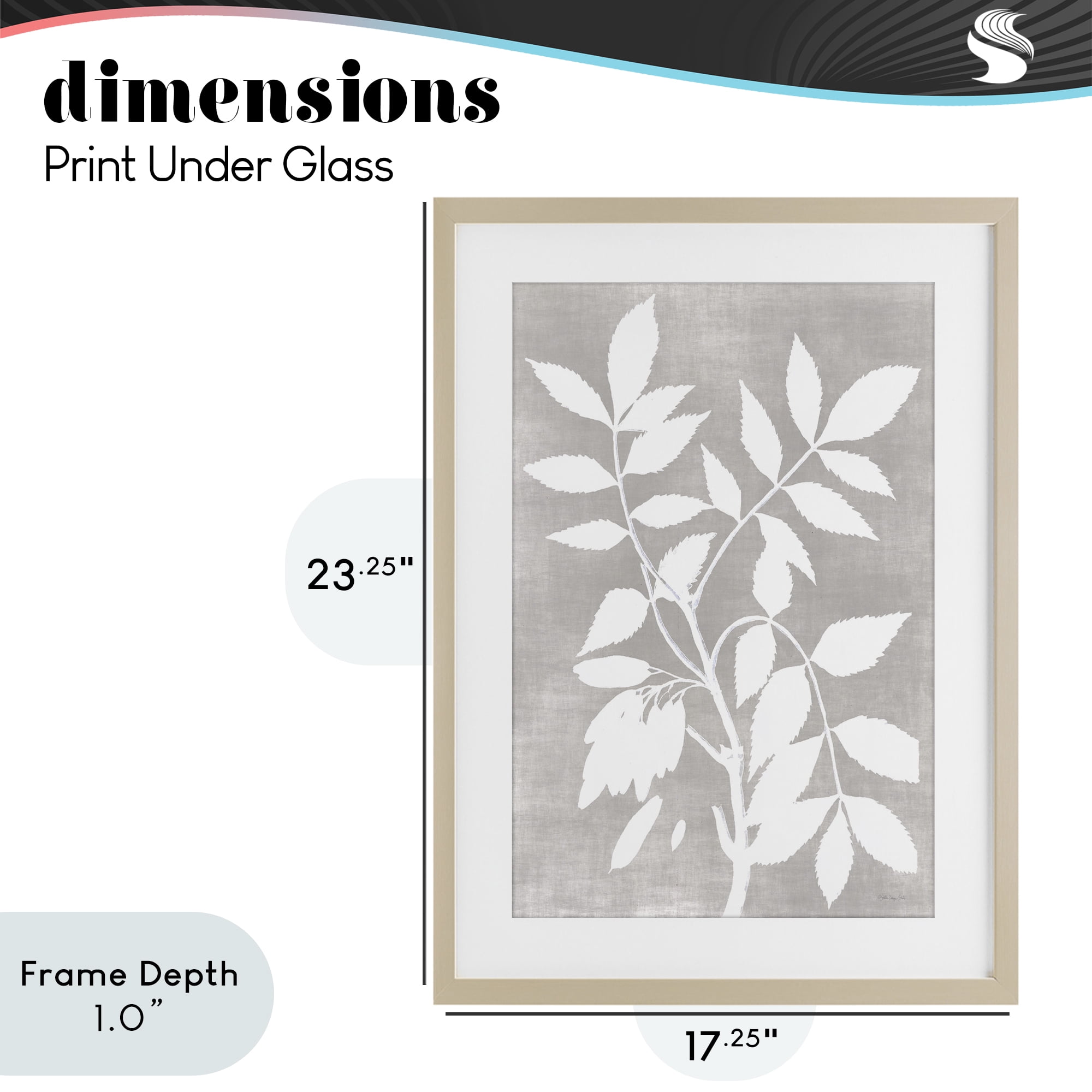 Stupell Industries Minimal Foliage Impression Birch Framed Print Under Glass, design by Stellar Design Studio