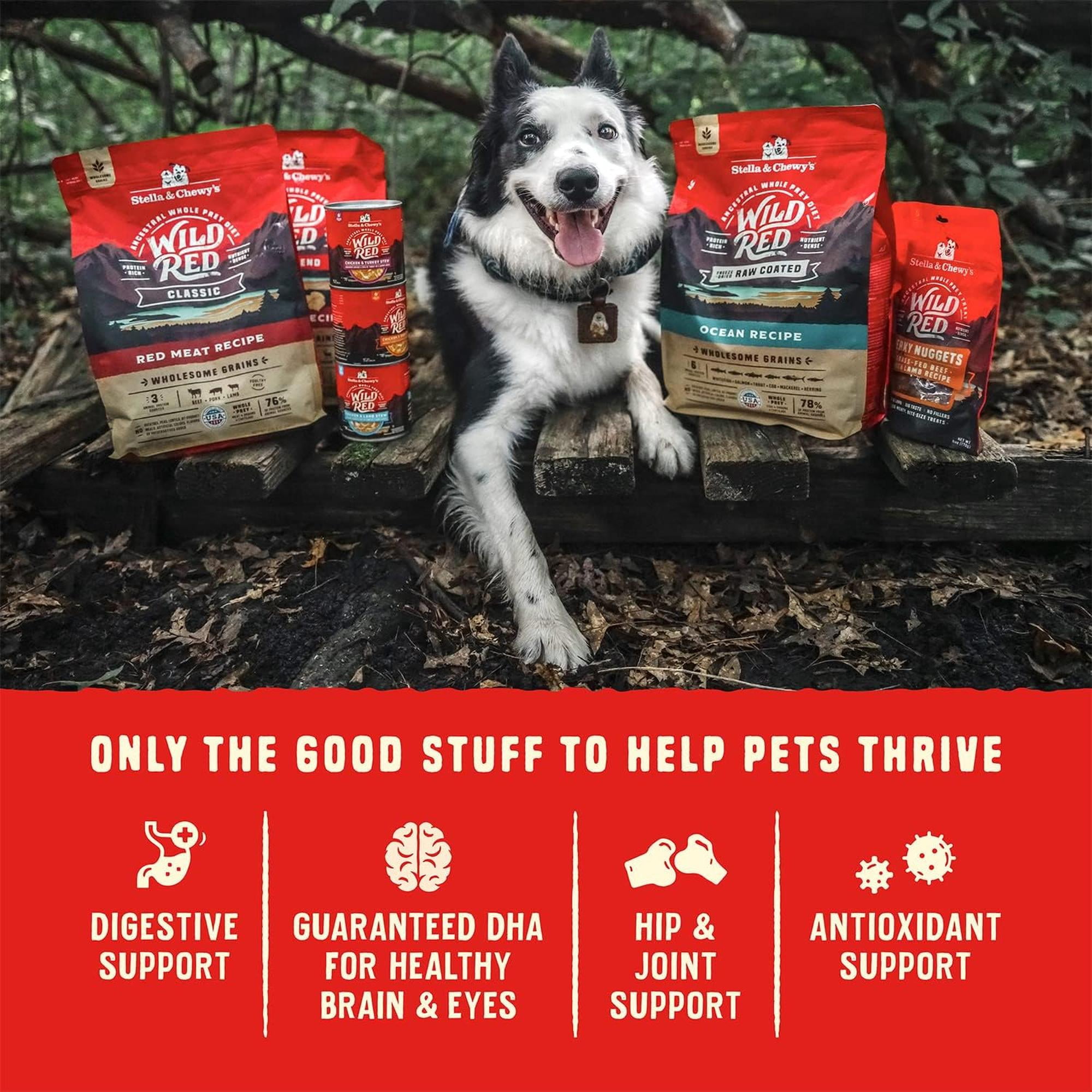 Stella & Chewy's Wild Red Raw Coated Kibble for Dogs - Grain & Legume Free Prairie Recipe - 21 Pound Bag