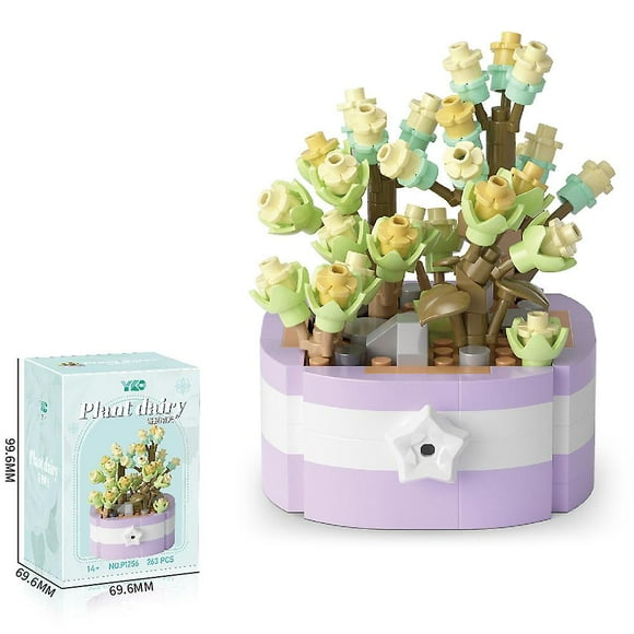 Succulent Building Set, Succulent Bonsai Botanical Decor Collection Building Kit, Build a Succulents Plants Display Piece for Home or Office, Ideal Gi
