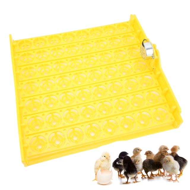 Huevo Automático Turner 56 Huevos, Fáciles De Ensamblar,Adecuados Para Eclosionar Huevos De Pato Con Accesorios De Incubadoras De Aves De Corral,para Incubar Huevos Grandes