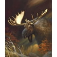 thumbnail image 2 of Stans, Leo 15x17 Black Ornate Wood Framed with Double Matting Museum Art Print Titled - Moose Portrait, 2 of 4