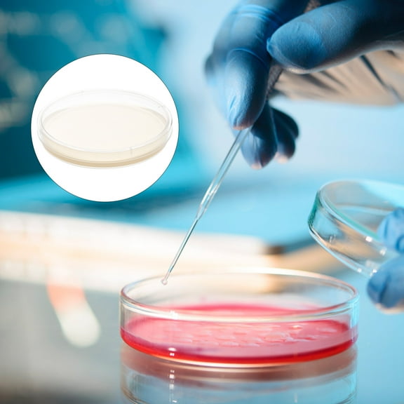 IBASETOY 10Pcs Pre Poured Agar Petri Plates for Labs Science Project Kit