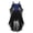 Dark Blue, variant on Women's Renaissance Dress with Corset Bodice and Flared Skirt