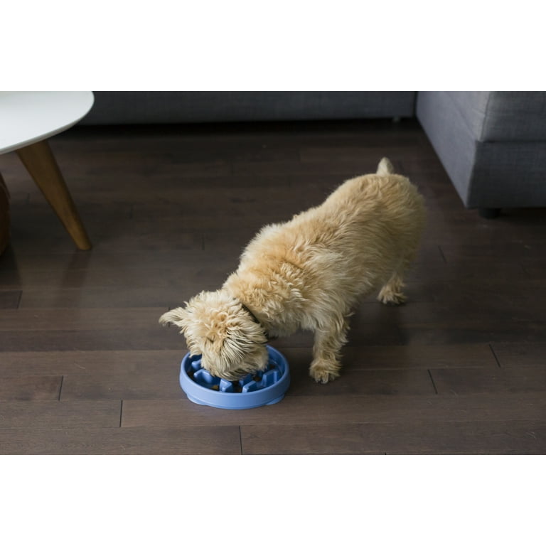 Outward Hound Fun Feeder Slo Bowl, Food Puzzle Maze Dish for Dogs