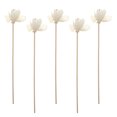 thumbnail image 2 of Aromatherapy Diffuser Sticks with Flower Design for Home Decor Made of Synthetic Material White Color 5pcs, 2 of 8