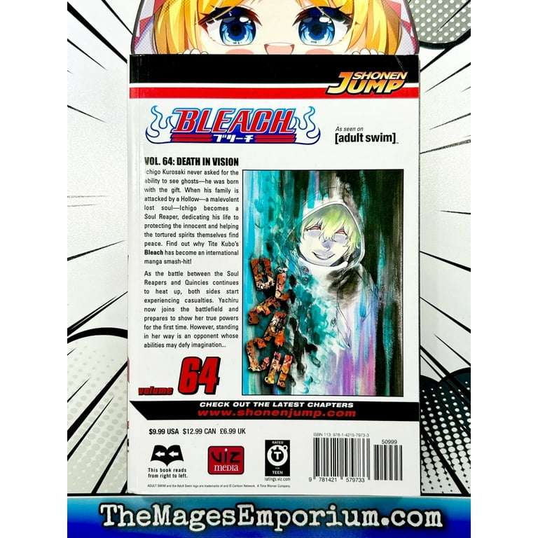Bleach Bleach, Vol. 64, (Paperback) - Walmart.com