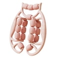 thumbnail image 4 of Rodillo de masaje Zulema 18 Rueda Fascia Manual Rosa, 4 of 8
