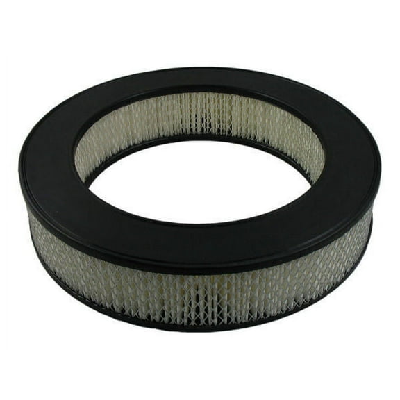 Pentius PAB6334 Pentius Filter Fits select: 1988-1990 DODGE DAKOTA, 1988-1989 DODGE D-SERIES