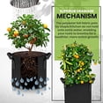 thumbnail image 6 of 3/ 5/10-gallon Fabric Growth Bag, Heavy Duty Thickened Fabric Flowerpot, Inflatable Fabric Flowerpot with Handle, Non-woven Fabric Bag Suitable for Vegetables, Flowers, Mushrooms (black), 6 of 6
