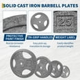 thumbnail image 4 of Shininglove 4-Pack 2.5LB Cast Iron Weight Plates Set (1-Inch), Anti-Rust Coated Gym Plates for Home & Strength Training, 4 of 7