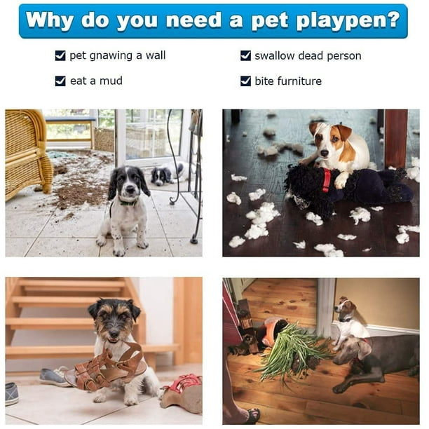 42 inch kennel tray sales