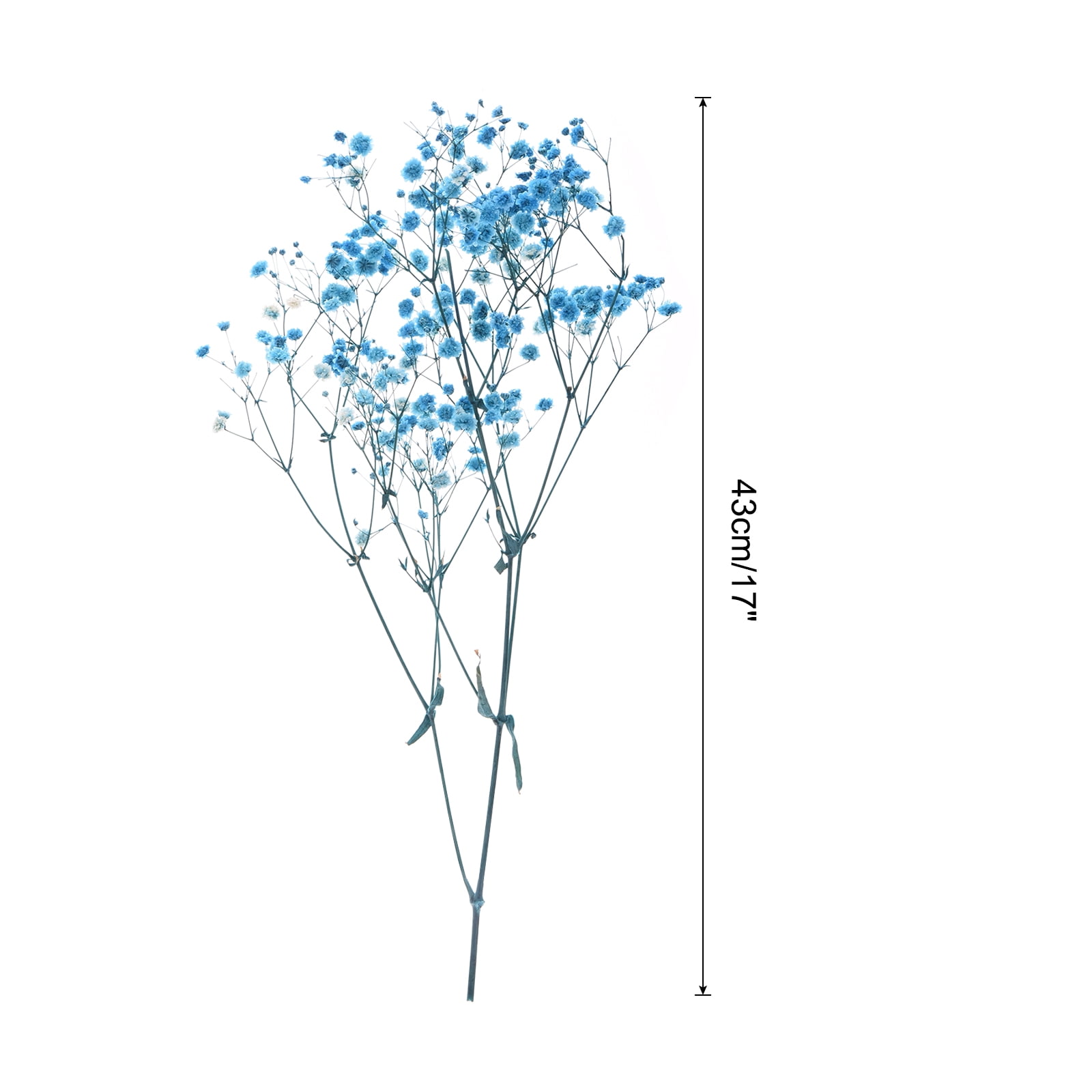 Uxcell Dried Baby's Breath Flowers 17 Inch Gypsophila Blue Natural Baby's Breath Branches for Wedding Party Home Decoration 3 Pcs