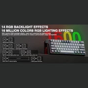AULA WIN60 HE 61-Key Wired Hall Effect Magnetic 60% Gaming Keyboard, RGB, Instant Commands, 60% Compact Design, Near-Zero Delay, Custom Actuation, Rapid Response - Grey/Black