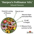 thumbnail image 4 of Burpee Burpee's Pollinator Mix Mixed Flower Seed, 1-Pack, 4 of 5