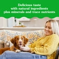 thumbnail image 5 of Greenies Pill Pockets For Dogs Peanut Butter Large, Capsule Size Soft Dog Treats, 7.9 Oz, (30 Pk), 5 of 11