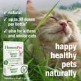 thumbnail image 4 of HomeoPet Feline ANXIETY RELIEF Calming Support Drops for Cats, 15 mL, 4 of 8