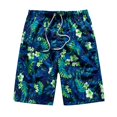 thumbnail image 1 of Pantalones cortos de natación para hombre, Shorts transpirables de playa, informales, de secado rápido, ropa deportiva de talla grande con bolsillo Fivean unisex, 1 of 2